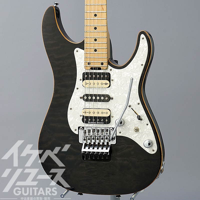 SCHECTER SD-2-24-AS (See-thru Black)の画像
